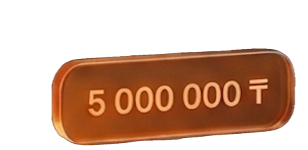 5 000 000 ₸